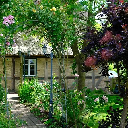 Judies Garten