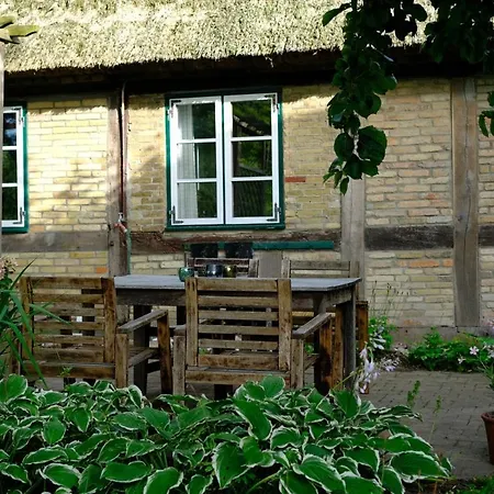 Judies Garten