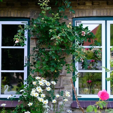 Judies Garten *